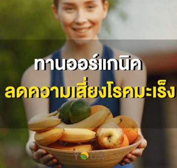 ออร์แกนิค