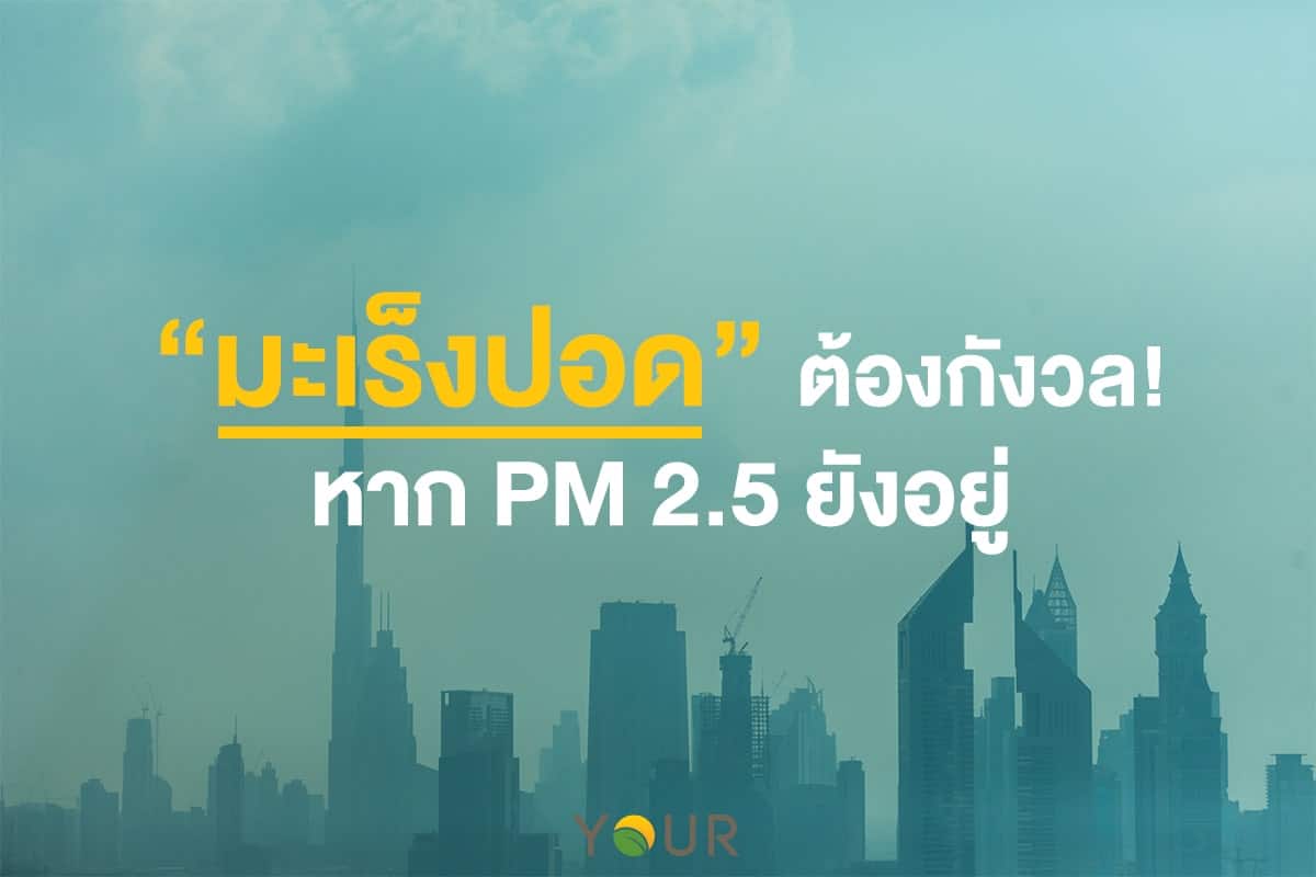 มะเร็งปอด