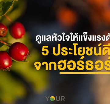 ฮอร์ธอร์น