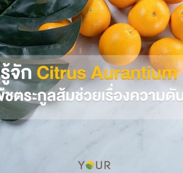 Citrus Aurantium