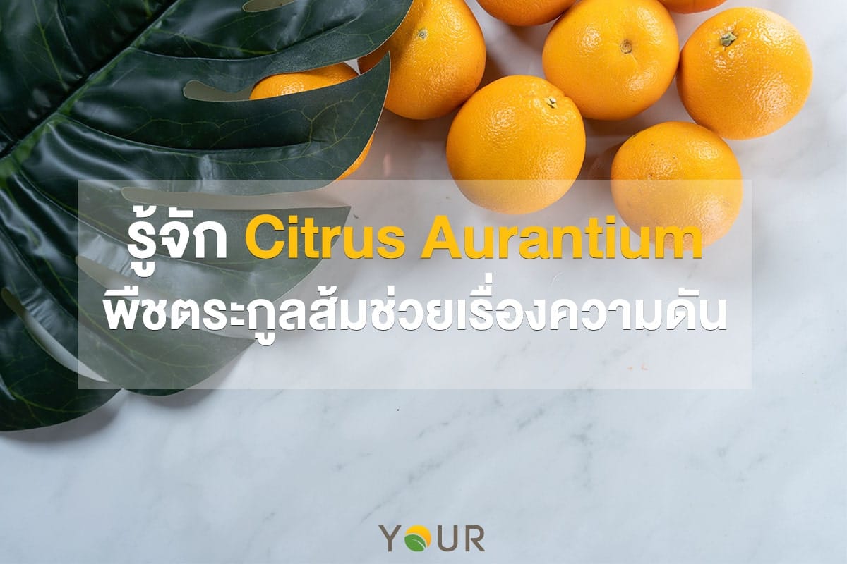 Citrus Aurantium