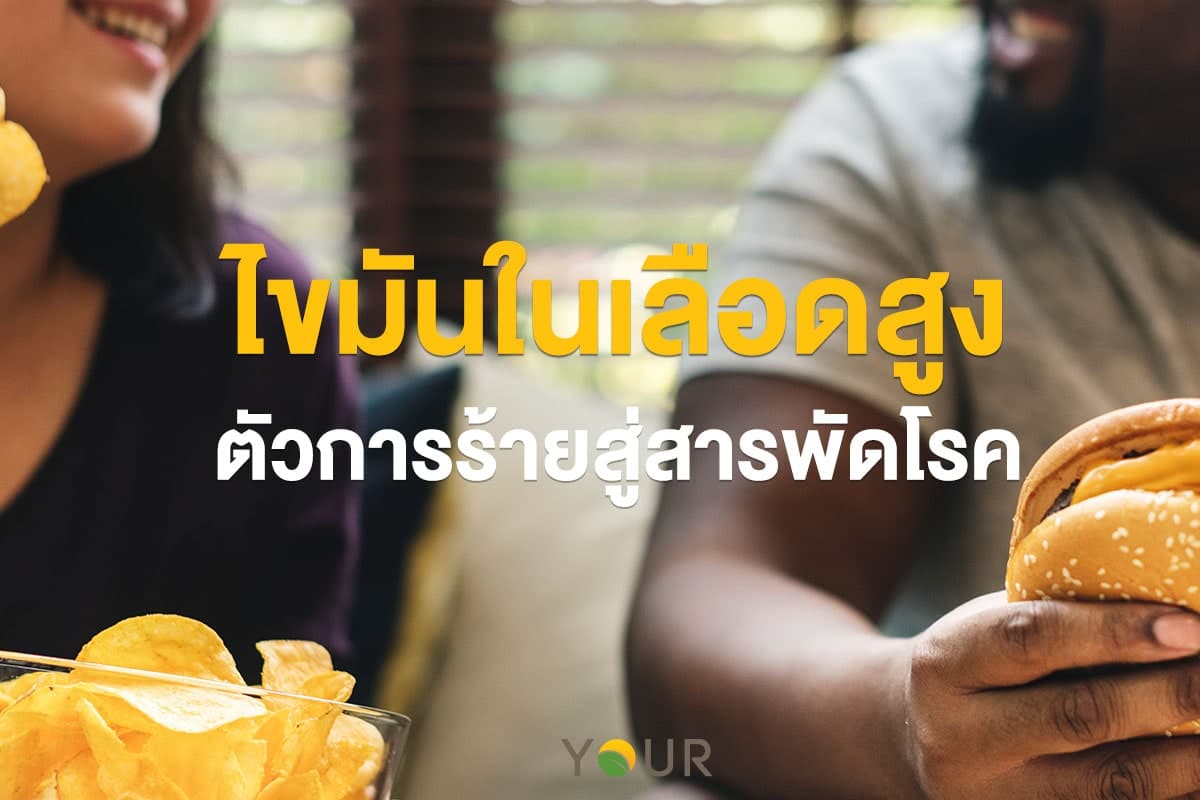 ไขมันในเลือด