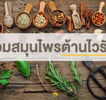 สมุนไพร