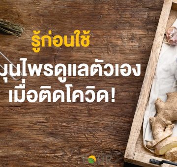 สมุนไพร