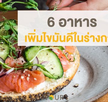 ไขมันดี