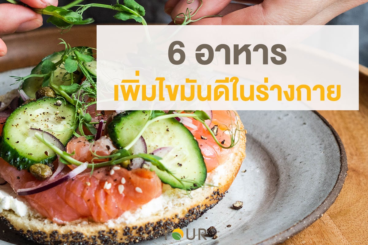 ไขมันดี