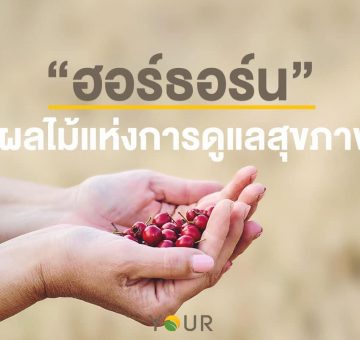 ฮอร์ธอร์น