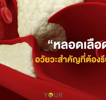 หลอดเลือด