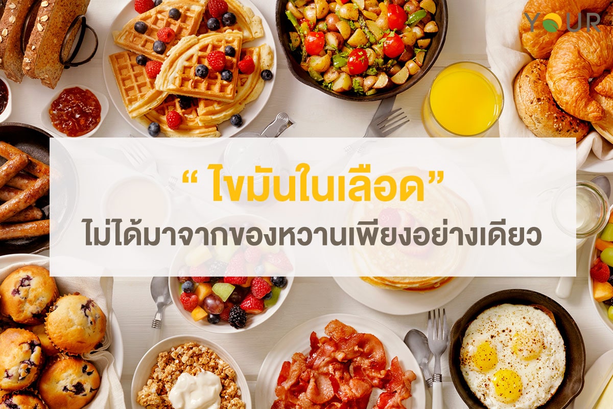 ไขมันในเลือด