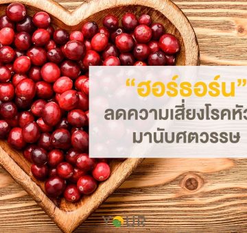 ฮอร์ธอร์น