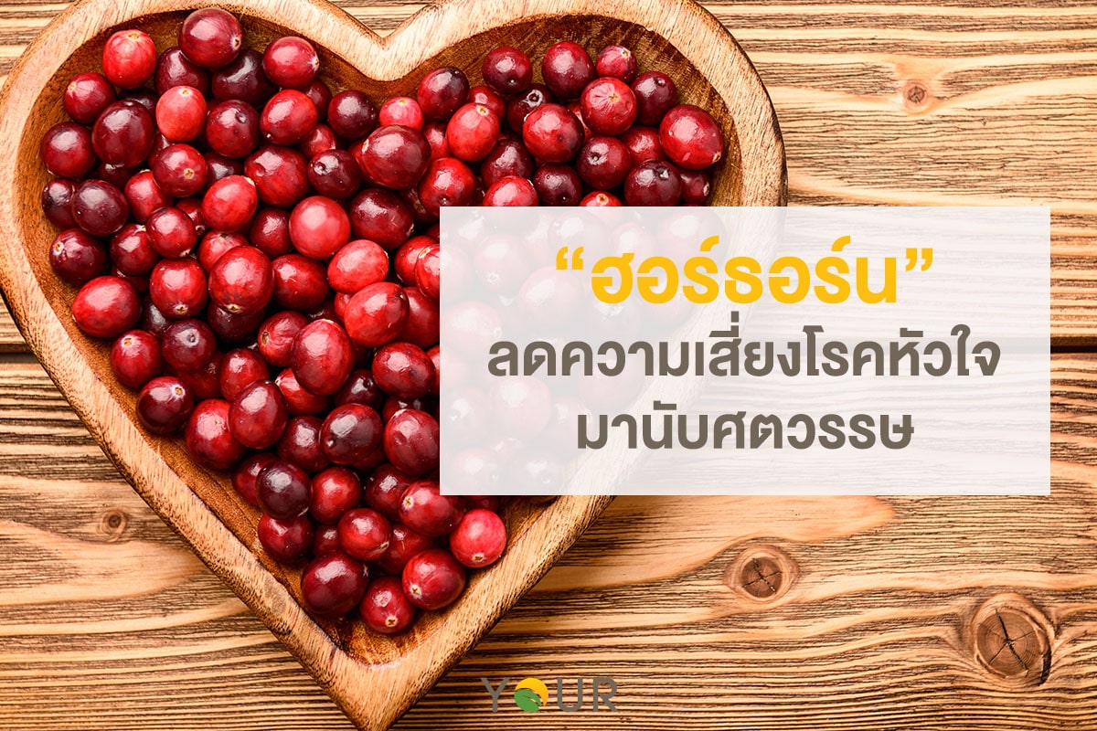 ฮอร์ธอร์น