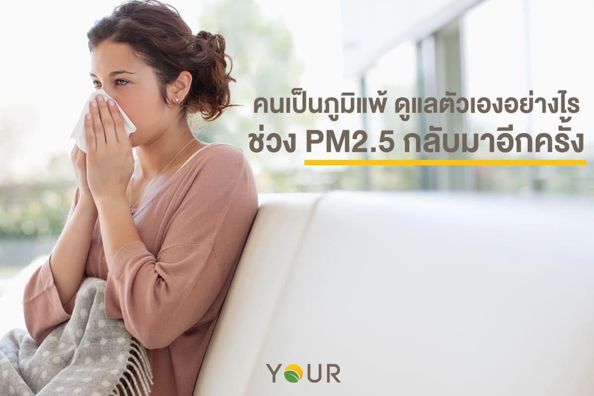ฝุ่น PM