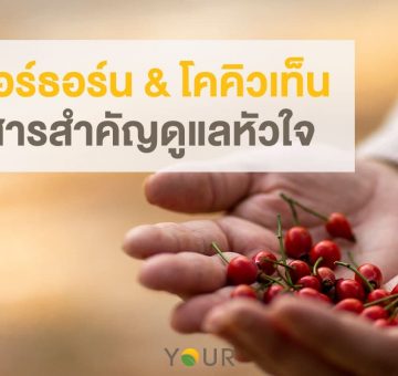 ฮอร์ธอร์น