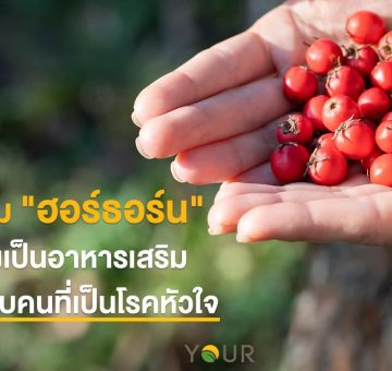 ฮอร์ธอร์น