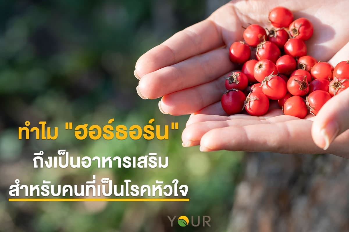 ฮอร์ธอร์น