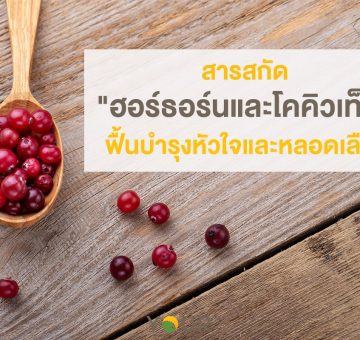 ฮอร์ธอร์น