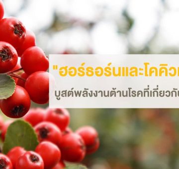 ฮอร์ธอร์น