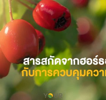 ควบคุมความดัน