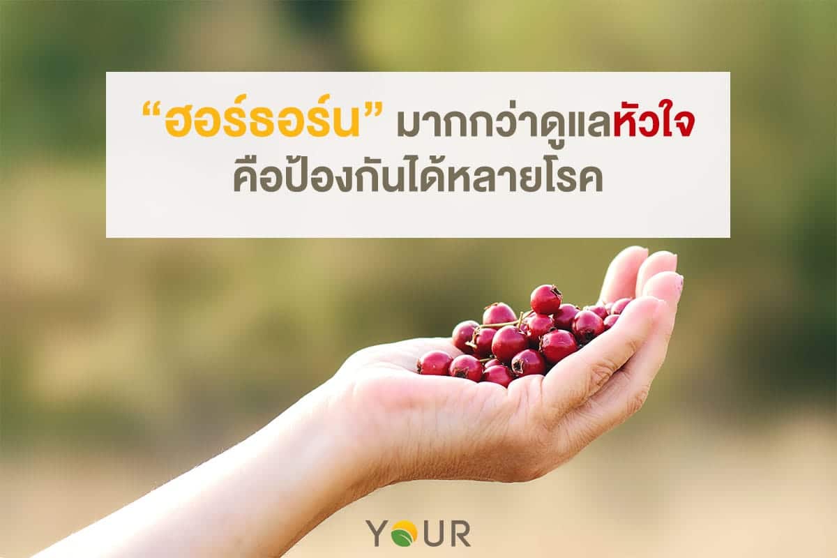 ดูแลหัวใจ