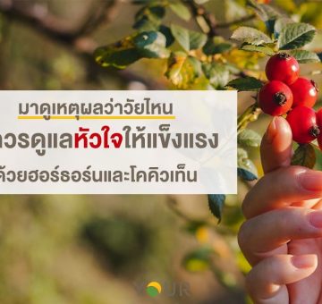 ฮอร์ธอร์น