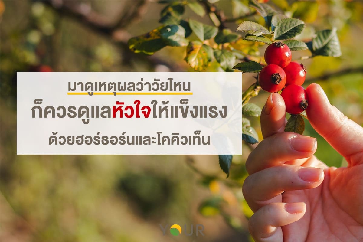 ฮอร์ธอร์น