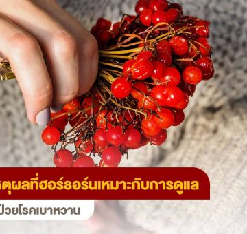 ฮอร์ธอร์น
