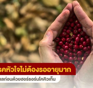 โรคหัวใจ