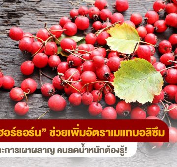 เมแทบอลิซึม