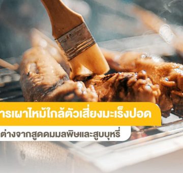 การเผาไหม้