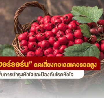 ฮอร์ธอร์น