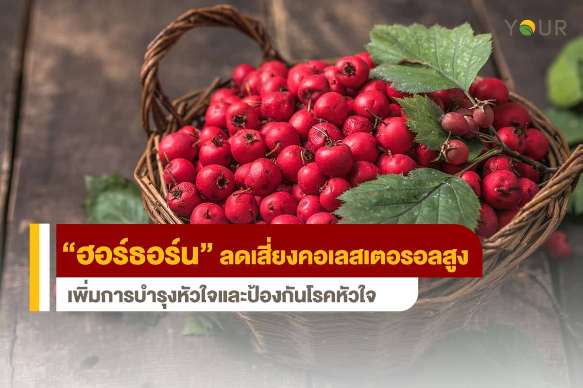 ฮอร์ธอร์น