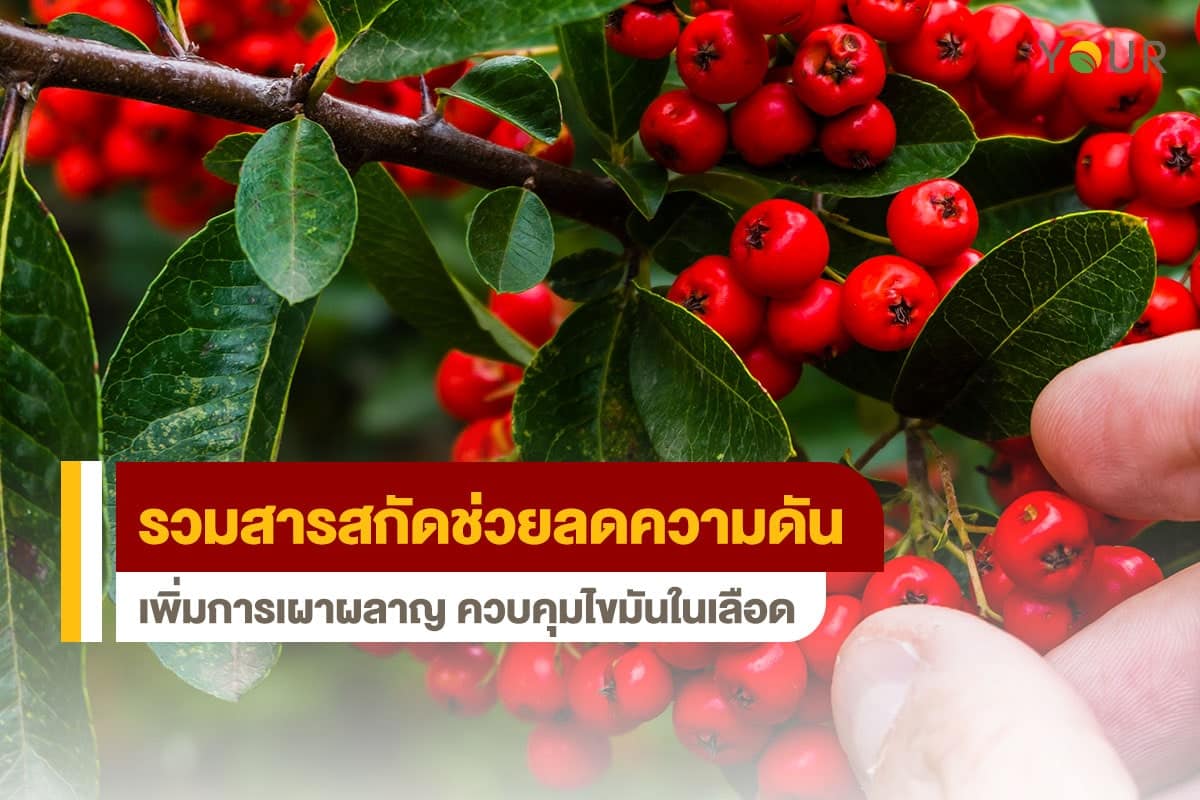 ลดความดัน