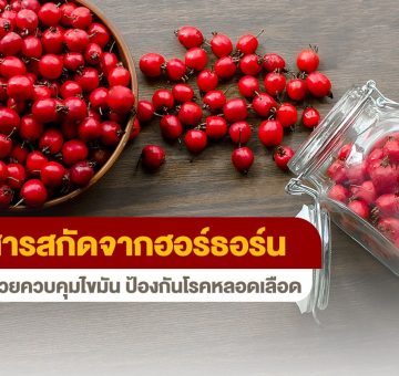 ฮอร์ธอร์น