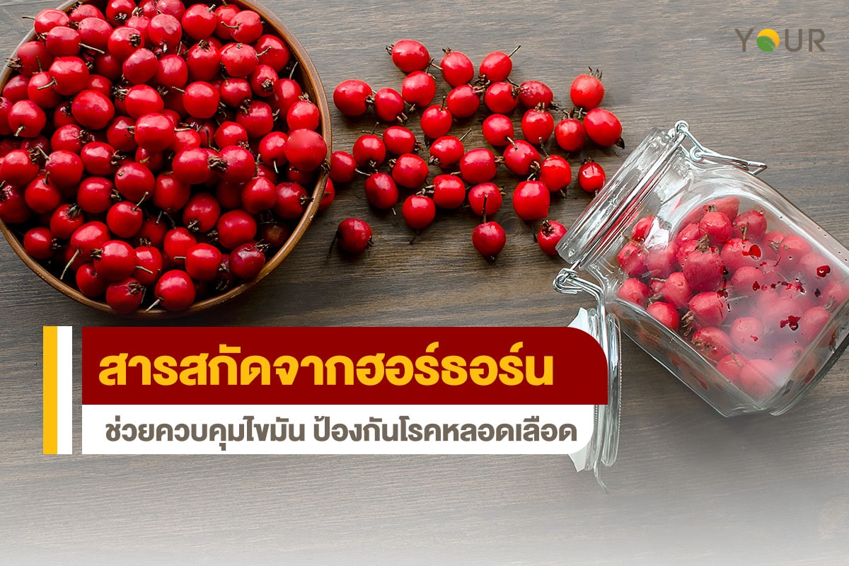 ฮอร์ธอร์น