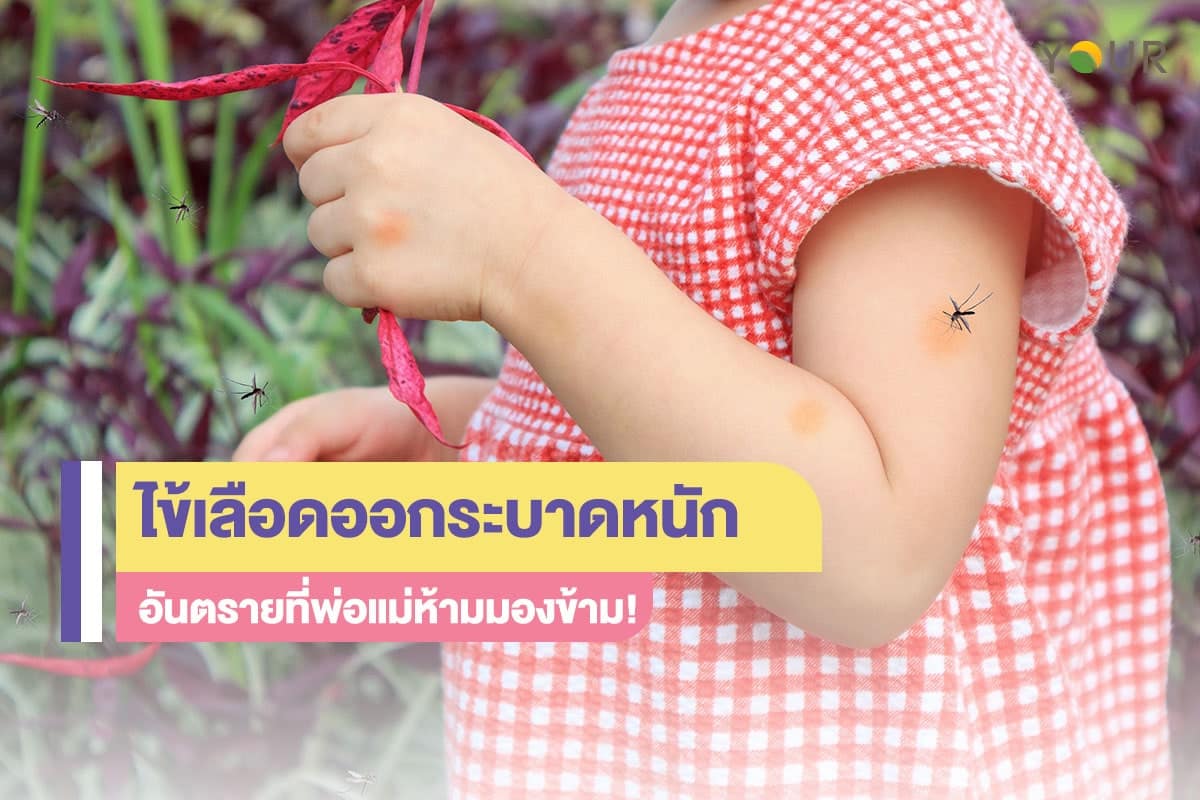 ไข้เลือดออก