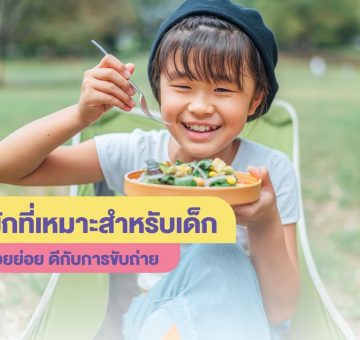 ช่วยย่อย