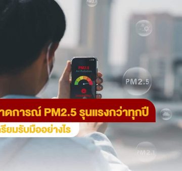 ฝุ่นPM