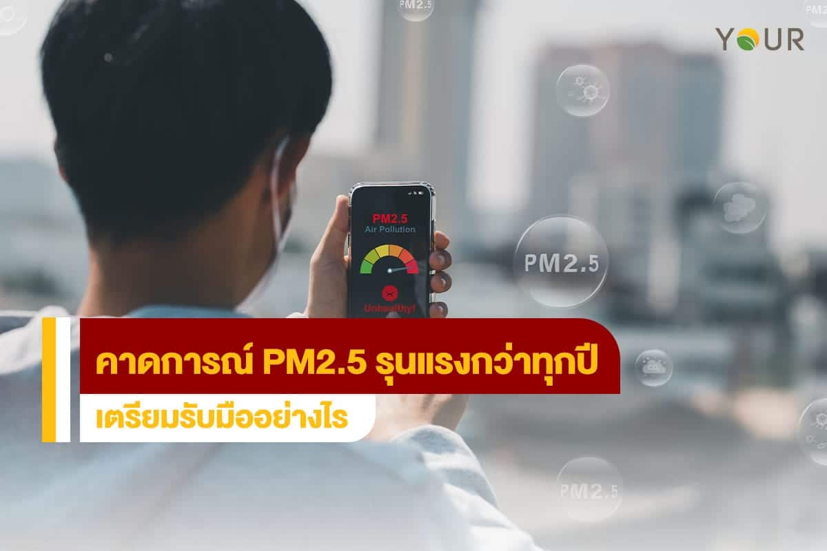 ฝุ่นPM