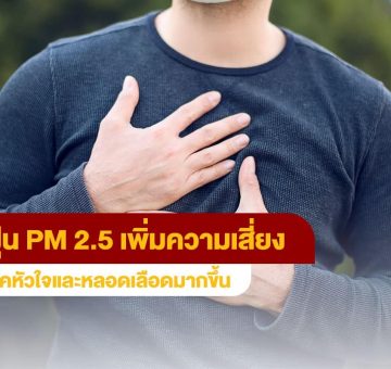 ฝุ่นPM