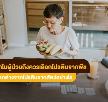 โปรตีนจากพืช