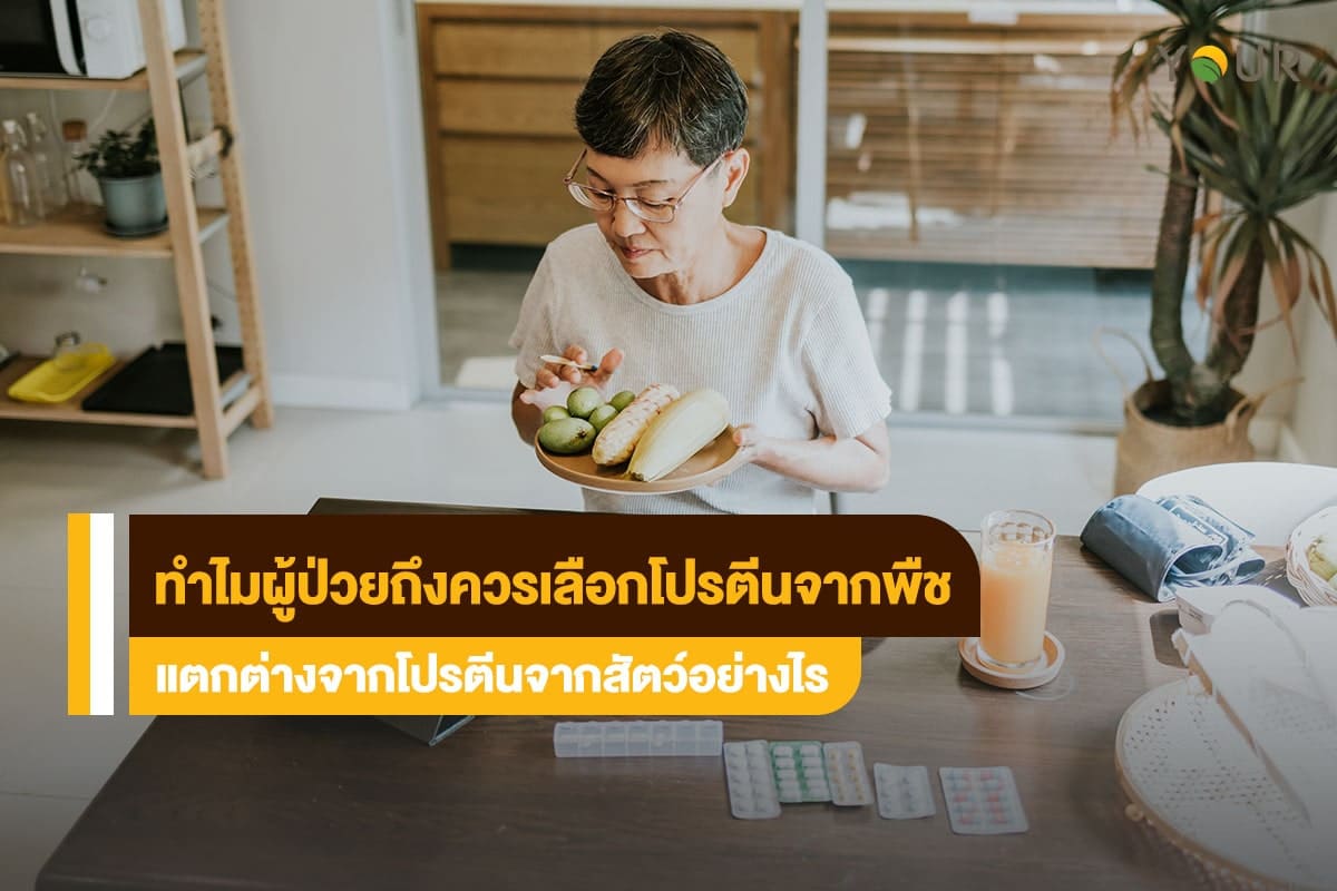 โปรตีนจากพืช