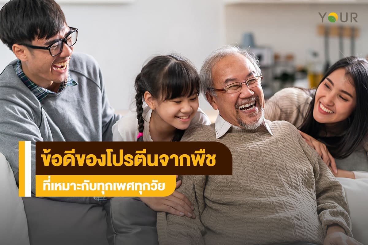 โปรตีนจากพืช