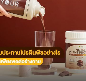 โปรตีนพืช