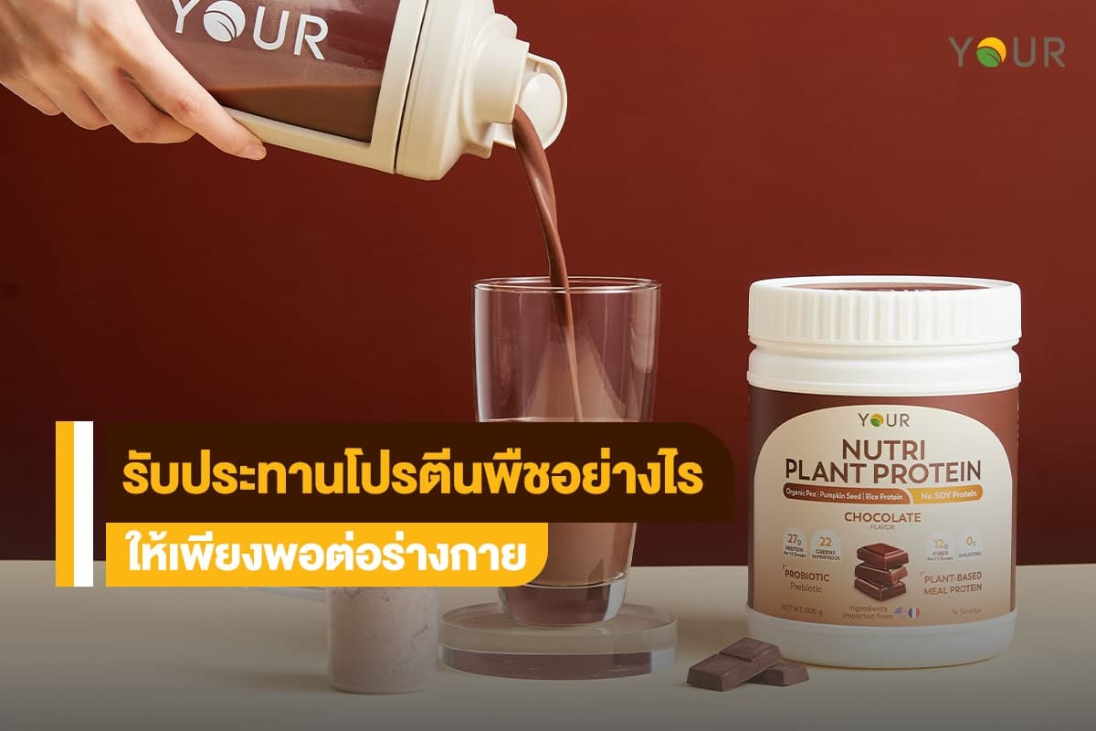 โปรตีนพืช