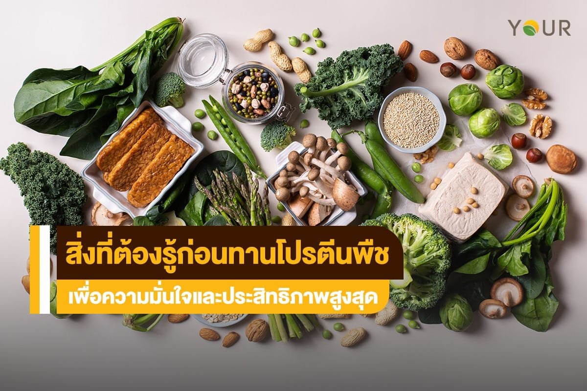 โปรตีนพืช