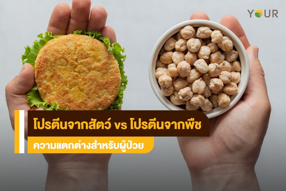 โปรตีนจากพืช
