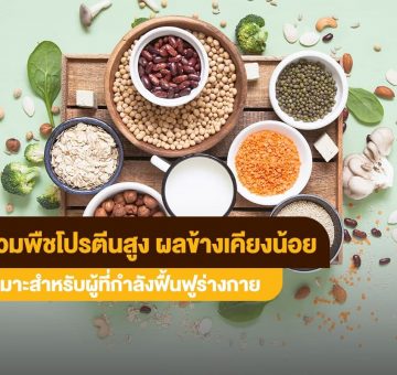 พืชโปรตีนสูง