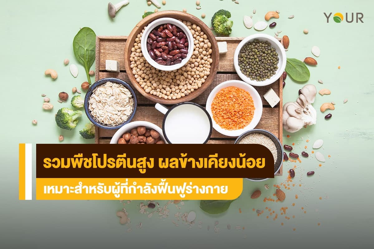 พืชโปรตีนสูง