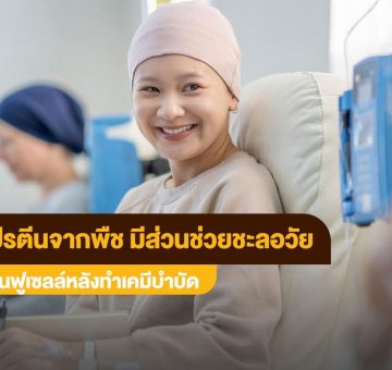 โปรตีนจากพืช