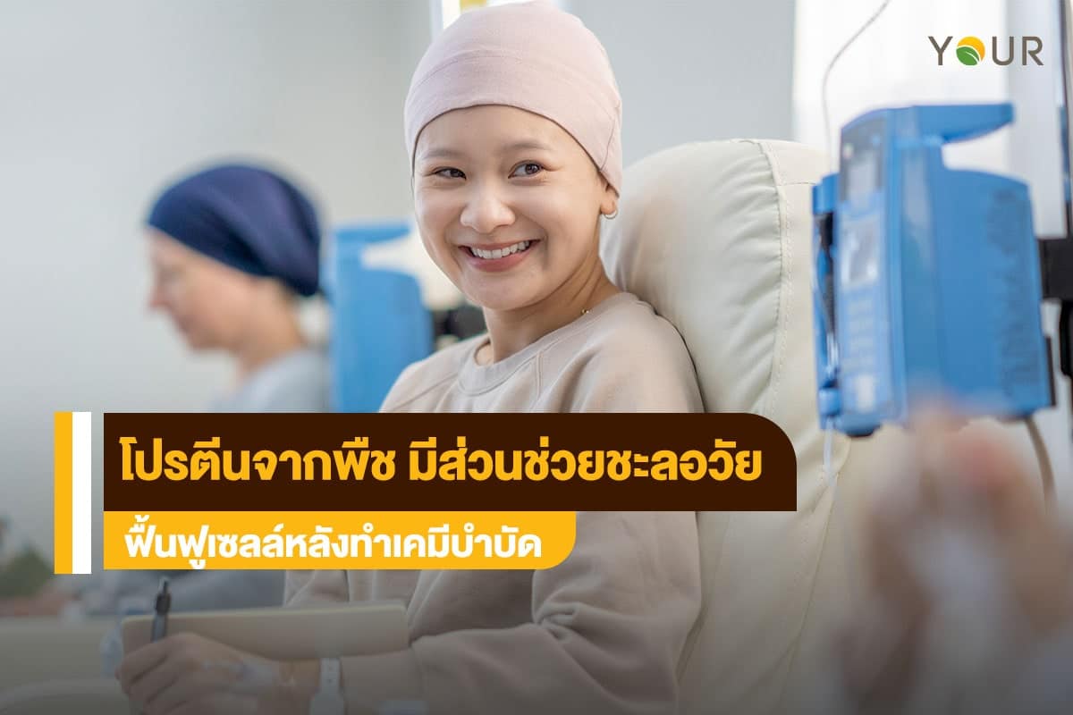 โปรตีนจากพืช